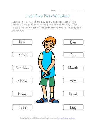 my body worksheet all kids network