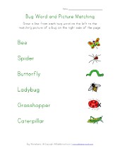 Bug Number Matching Worksheet | All Kids Network