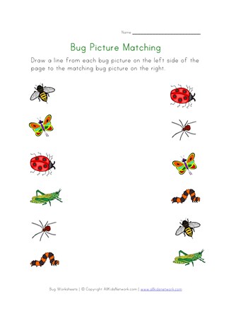 bugs worksheet for kids picture matching all kids network