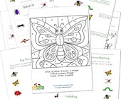 facts about animals worksheet Bug Worksheets