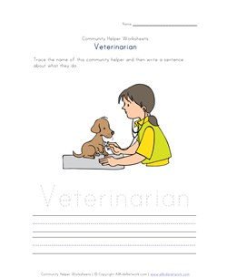 what a veterinarian does worksheet