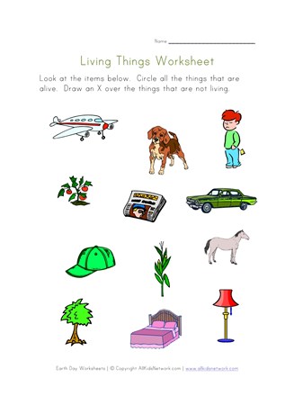 living things worksheet
