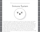 health worksheets kindergarten Immune System Reading Worksheet