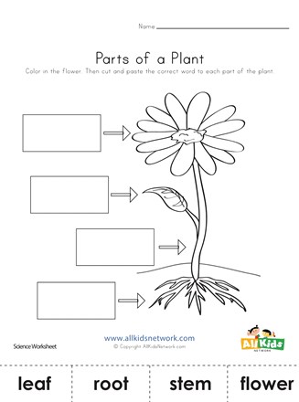 Parts of a Plant Cut and Paste | All Kids Network
