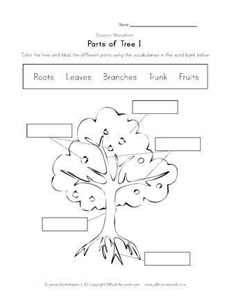 Parts of a Tree Worksheet | All Kids Network