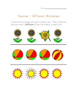 summer different worksheet