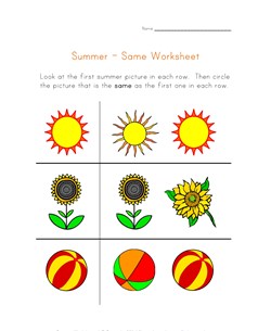 summer same worksheet