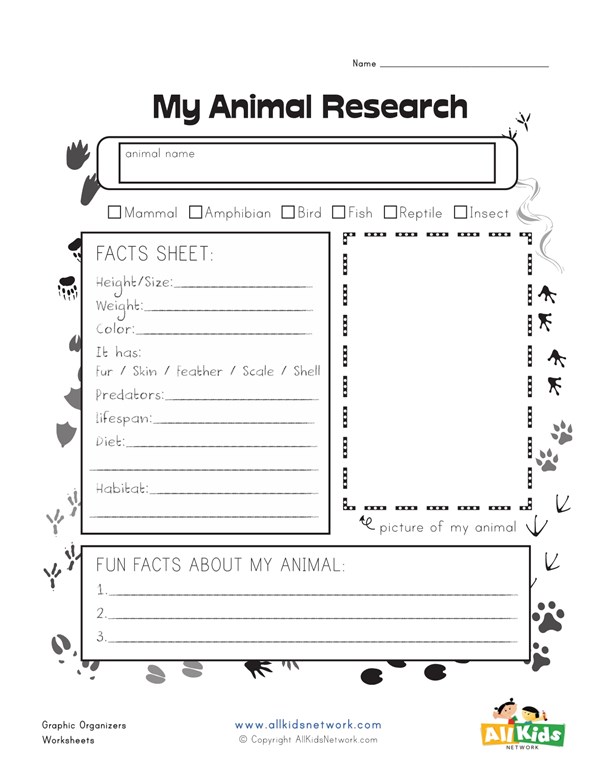 animal report