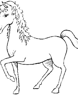 unicorn coloring page