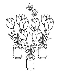 tulips coloring page