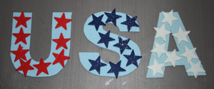 usa magnets craft