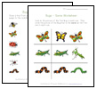 bug worksheets